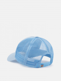 Кепка Dickies модель DK0A4XYGE651 Фото