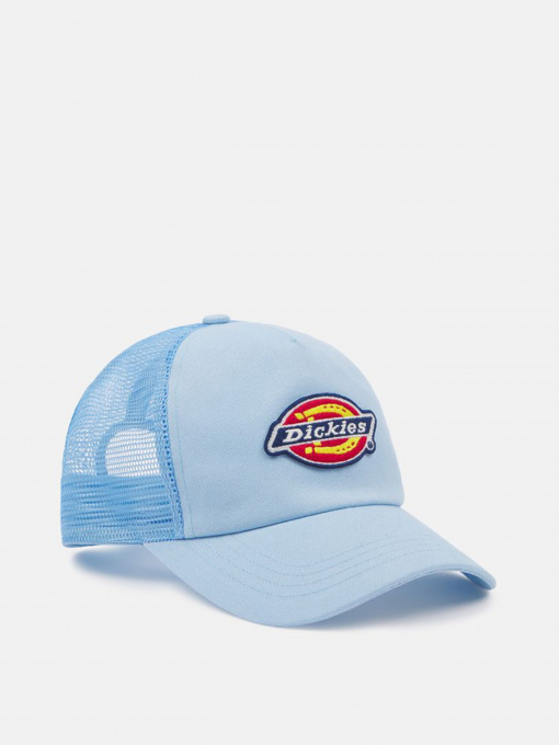 Кепка Dickies модель DK0A4XYGE651 Фото