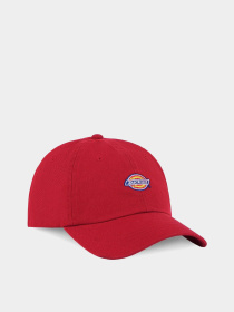 Кепка Dickies Hardwick модель DK0A4TKV0ER1 Фото