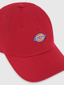 Кепка Dickies Hardwick модель DK0A4TKV0ER1 Фото