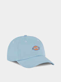 Кепка Dickies Hardwick модель DK0A4TKVK541 Фото