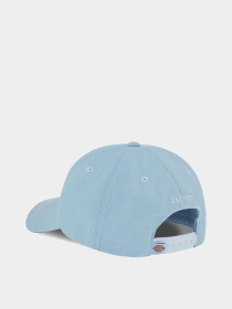 Кепка Dickies Hardwick модель DK0A4TKVK541 Фото