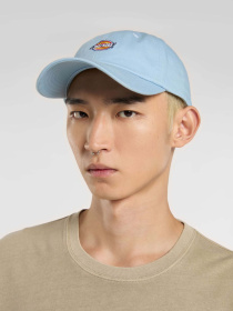 Кепка Dickies Hardwick модель DK0A4TKVK541 Фото