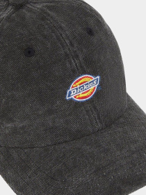 Кепка Dickies Hardwick Duck Canvas модель DK0A4Y9IBLK1 Фото