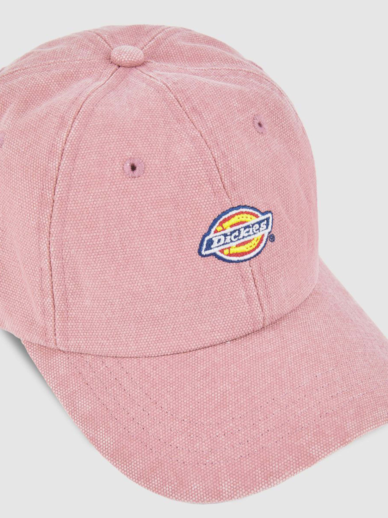 Кепка Dickies Hardwick Duck Canvas модель DK0A4Y9IK391 Фото