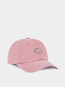 Кепка Dickies Hardwick Duck Canvas модель DK0A4Y9IK391 Фото