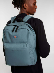 Повседневный рюкзак Dickies Duck Canvas модель DK0A4YOCG701 Фото