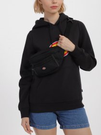 Поясная сумка Dickies Ashville Pouch модель DK0A4Y1UBLK1 Фото