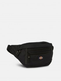 Поясная сумка Dickies Ashville Pouch модель DK0A4Y1UBLK1 Фото