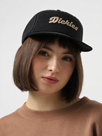 Кепка Dickies Riverbend модель DK0A4Z6IBLK1 Фото