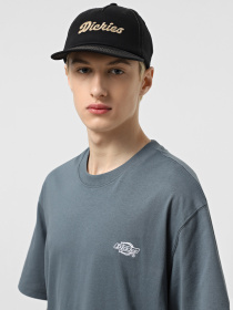 Кепка Dickies Riverbend модель DK0A4Z6IBLK1 Фото