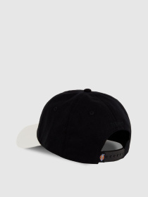 Кепка Dickies Hardwick 2 Tone модель DK0A4Z6LBLK1 Фото