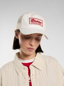 Кепка Dickies Lewistown Trucker модель DK0A4Z6MC481 Фото