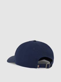 Кепка Dickies Essential Dad модель DK0A4Z6NCT91 Фото