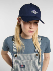 Кепка Dickies Essential Dad модель DK0A4Z6NCT91 Фото