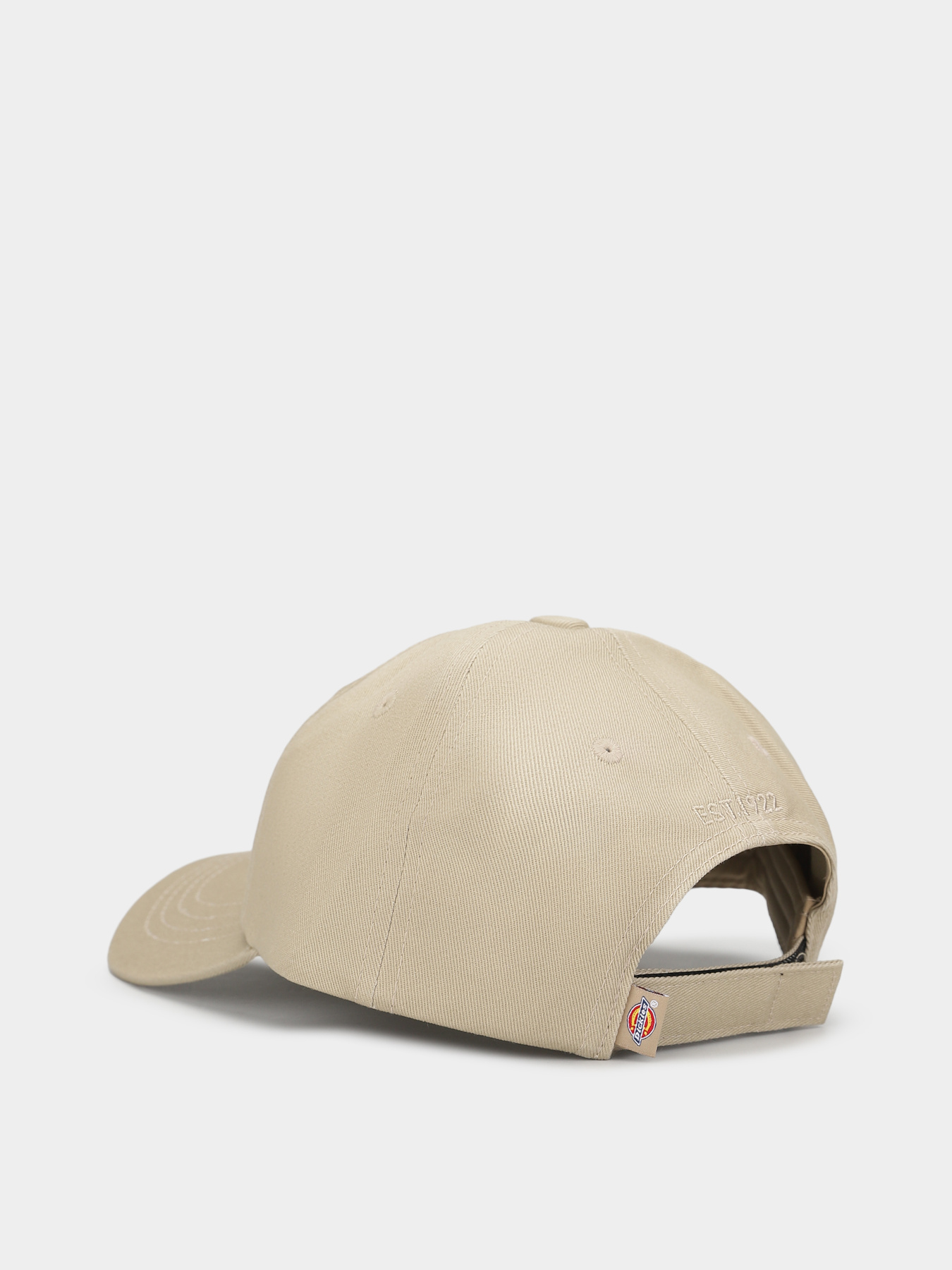 Кепка Dickies Hardwick модель DK0A4Z6V0DS1 Фото