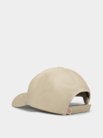 Кепка Dickies Hardwick модель DK0A4Z6V0DS1 Фото