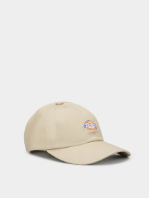 Кепка Dickies Hardwick Модель DK0A4Z6V0DS1 Фото