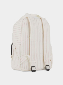 Рюкзак Dickies Service Stripe Lisbon 21L модель DK0A867GC481 Фото