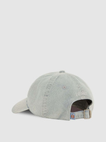 Кепка Dickies Hardwick Duck модель DK0A867HC151 Фото