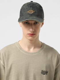 Кепка Dickies Denim Dad модель DK0A867HK581 Фото