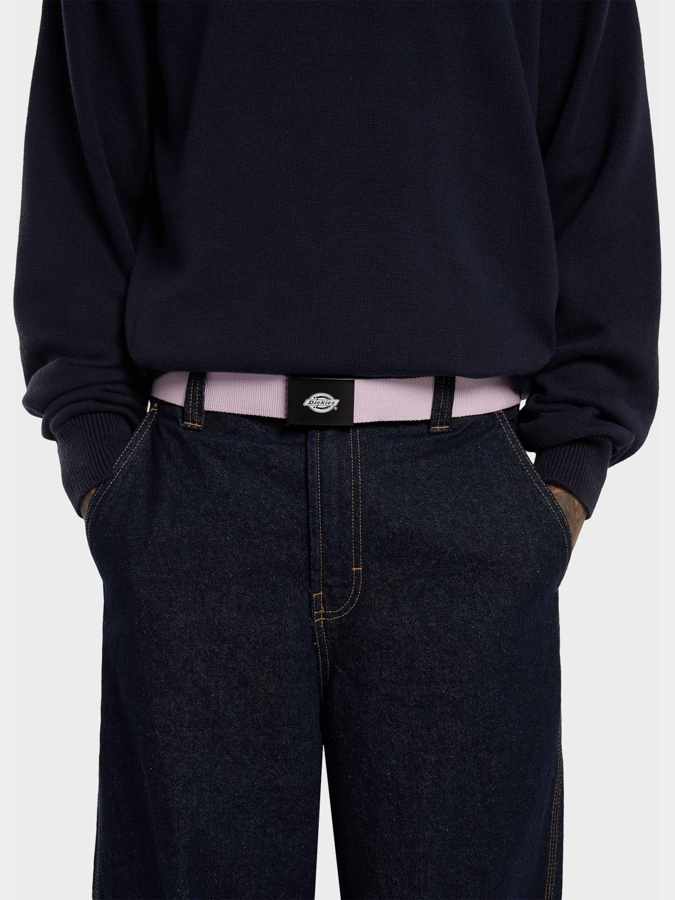 Ремень Dickies Orcutt Winsome Orchid модель DK0A4X7EK731 Фото