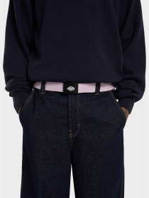Ремень Dickies Orcutt Winsome Orchid модель DK0A4X7EK731 Фото