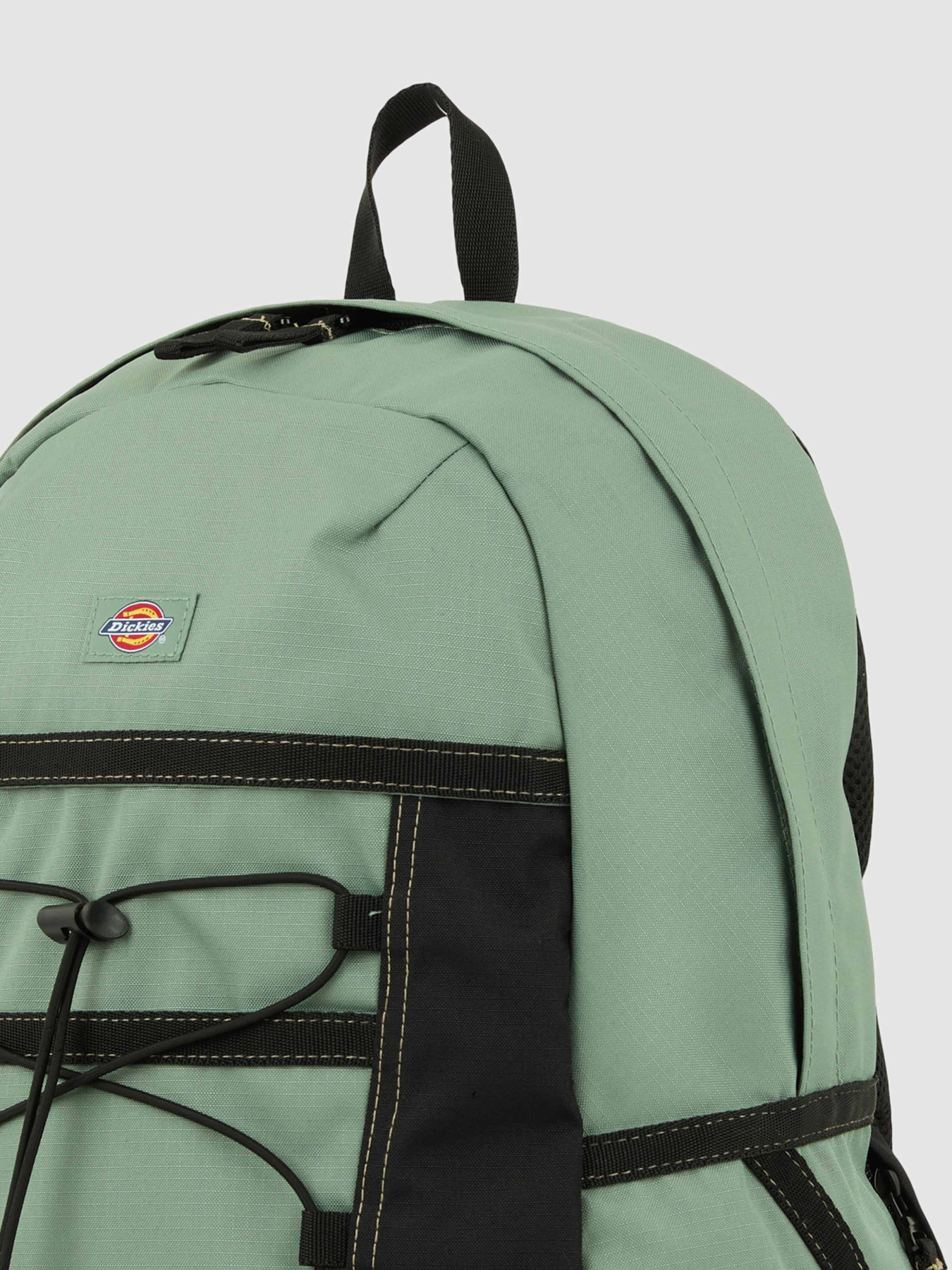 Рюкзак Dickies Ashville модель DK0A4Y33L191 Фото