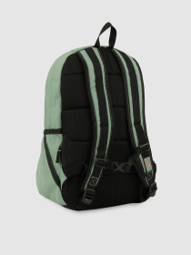 Рюкзак Dickies Ashville модель DK0A4Y33L191 Фото