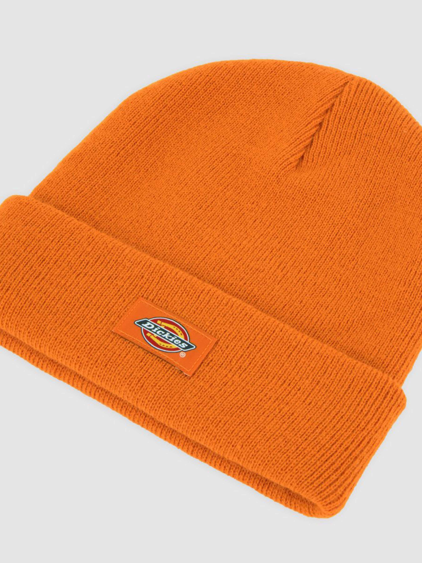 Шапка Dickies Gibsland модель DK0A4X7KK641 Фото