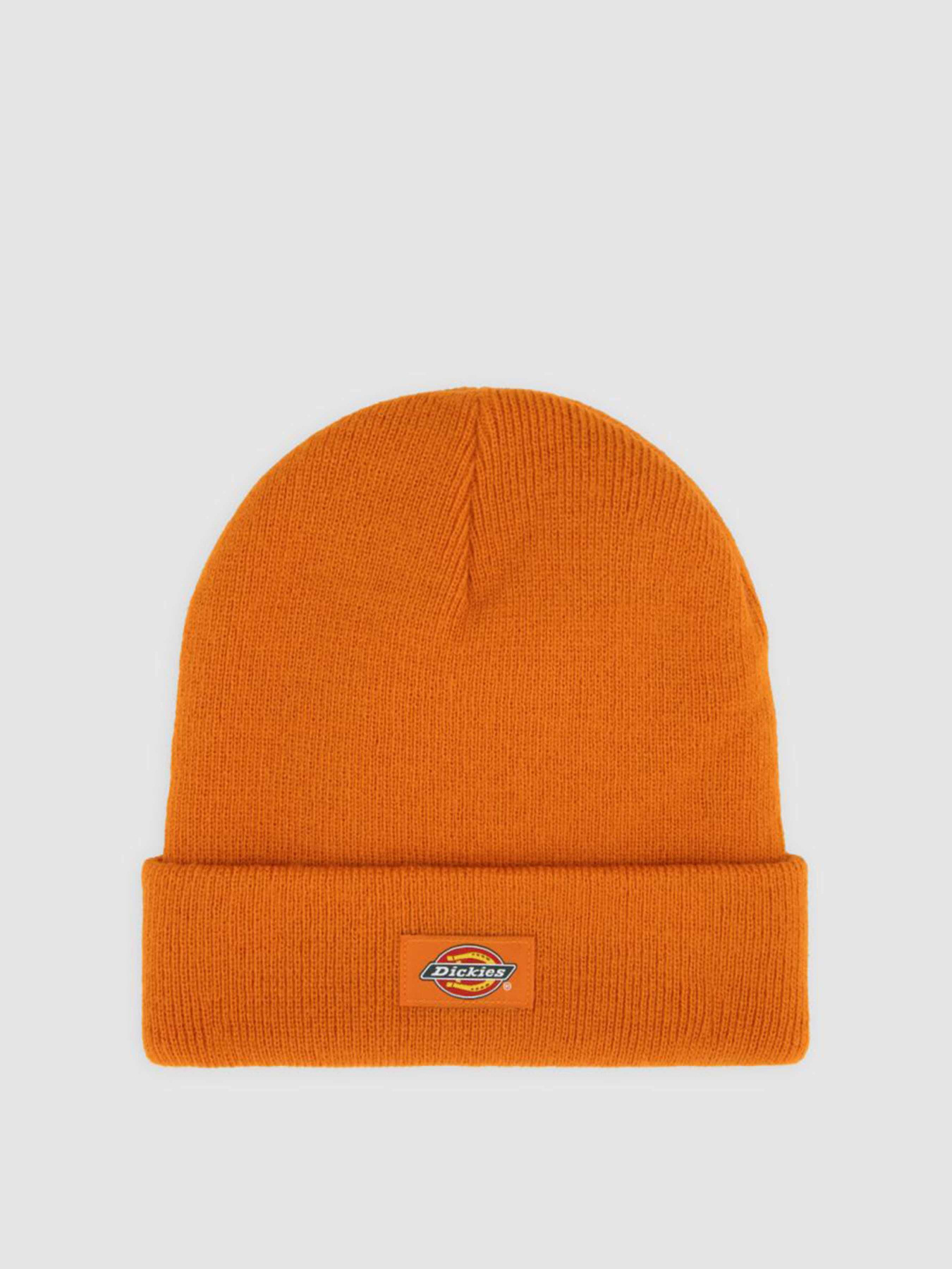 Шапка Dickies Gibsland модель DK0A4X7KK641 Фото