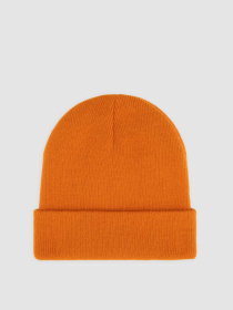 Шапка Dickies Gibsland модель DK0A4X7KK641 Фото