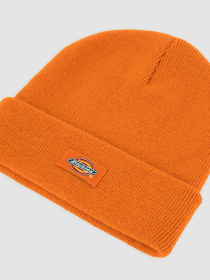 Шапка Dickies Gibsland модель DK0A4X7KK641 Фото