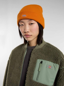 Шапка Dickies Gibsland модель DK0A4X7KK641 Фото