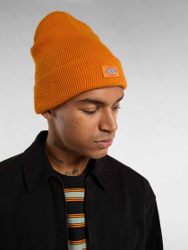 Шапка Dickies Gibsland модель DK0A4X7KK641 Фото