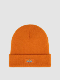 Шапка Dickies Gibsland модель DK0A4X7KK641 Фото