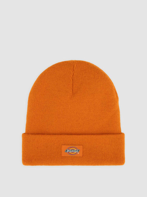 Шапка Dickies Gibsland модель DK0A4X7KK641 Фото