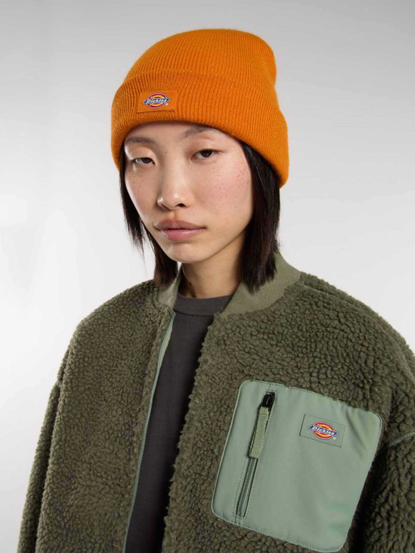 Шапка Dickies Gibsland модель DK0A4X7KK641 Фото