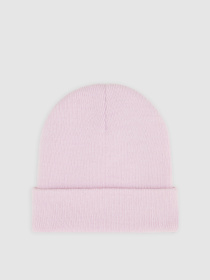 Шапка Dickies Gibsland модель DK0A4X7KK731 Фото