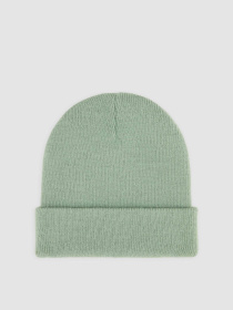 Шапка Dickies Gibsland модель DK0A4X7KL191 Фото