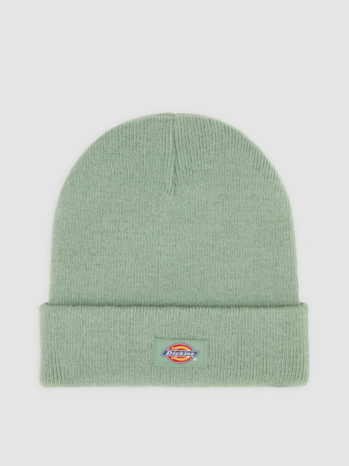 Шапка Dickies Gibsland модель DK0A4X7KL191 Фото