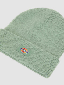 Шапка Dickies Gibsland модель DK0A4X7KL191 Фото