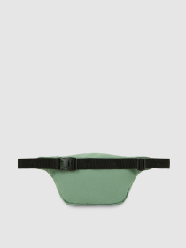 Поясна сумка Dickies Duck 3.5 L модель DK0A4XOYL191 Фото