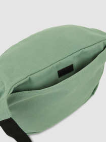 Поясна сумка Dickies Duck 3.5 L модель DK0A4XOYL191 Фото