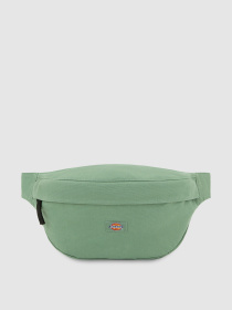 Поясна сумка Dickies Duck 3.5 L модель DK0A4XOYL191 Фото