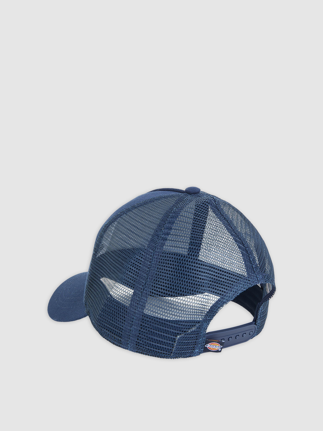 Кепка Dickies Hanston Trucker модель DK0A4YV3L181 Фото