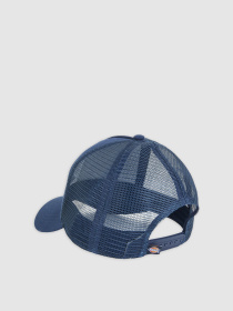 Кепка Dickies Hanston Trucker модель DK0A4YV3L181 Кепка Dickies Hanston Trucker модель DK0A4YV3L181 Фото