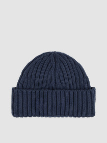 Шапка Dickies модель DK0A4Z2OCT91 Фото