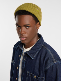 Шапка Dickies модель DK0A4Z2OL201 Фото