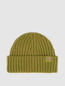 Шапка Dickies модель DK0A4Z2OL201 Фото